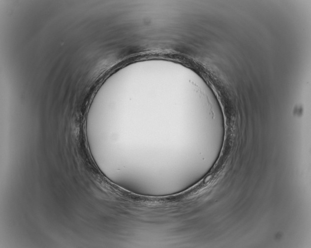 X0000097301257200803071745