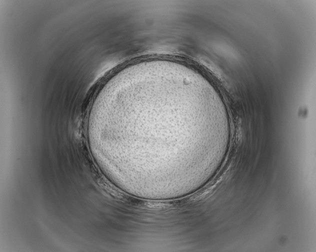 X0000097301258200803071745