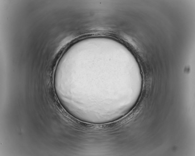 X0000097301259200803071745