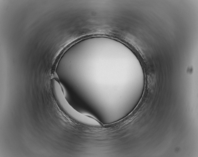 X0000097301260200803071745