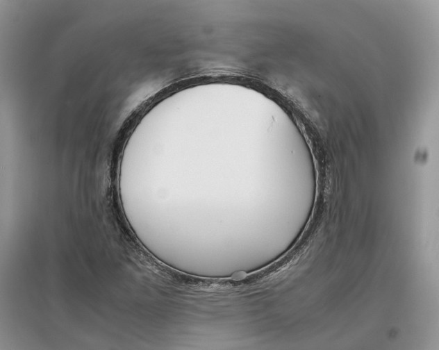 X0000097301261200803071745