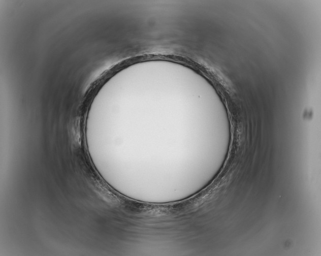 X0000097301262200803071745