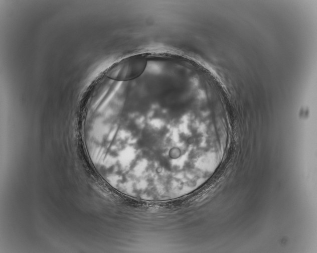 X0000097301263200803071745