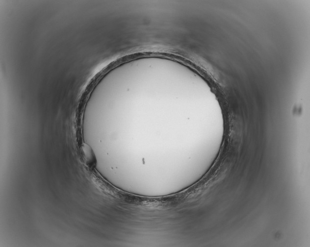 X0000097301264200803071745