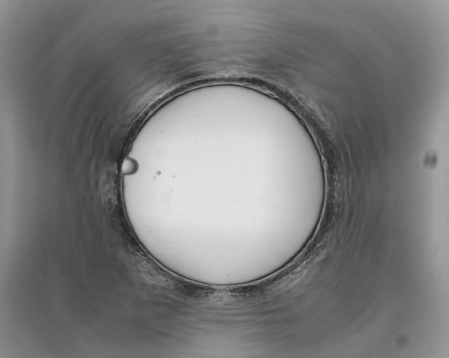 X0000097301265200803071745