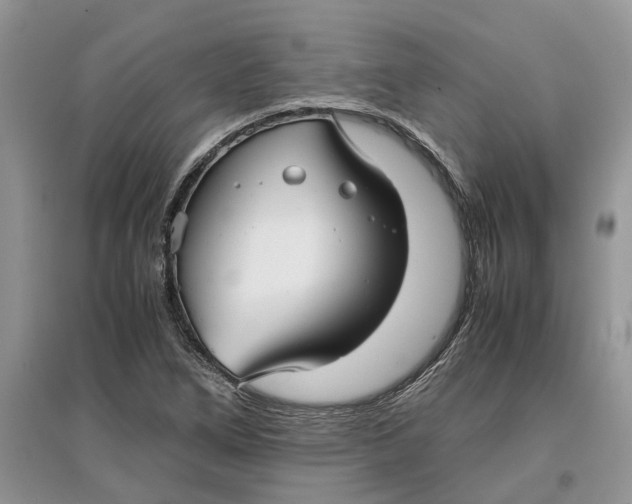 X0000097301266200803071745