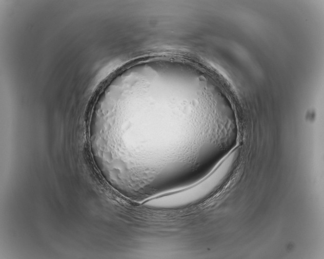 X0000097301267200803071745