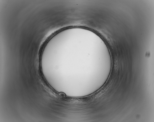 X0000097301270200803071745