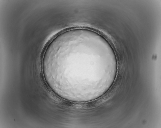 X0000097301271200803071745