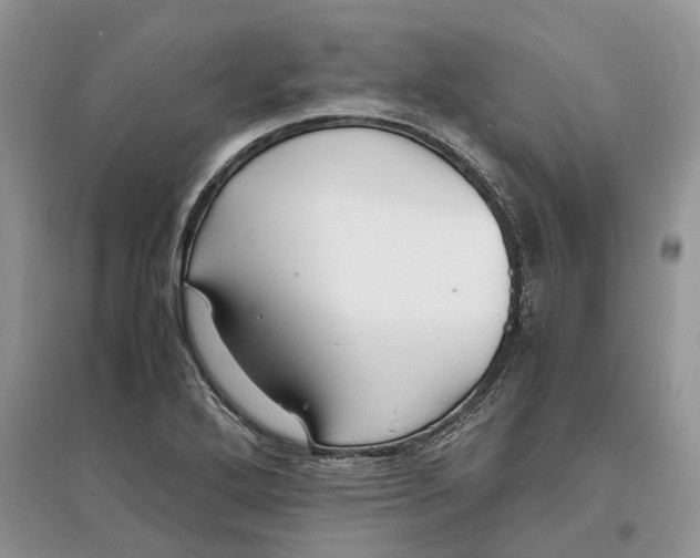 X0000097301272200803071745