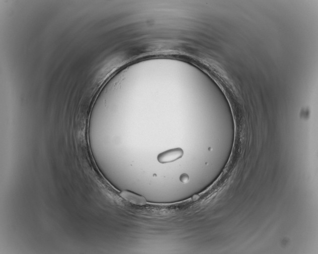 X0000097301273200803071745