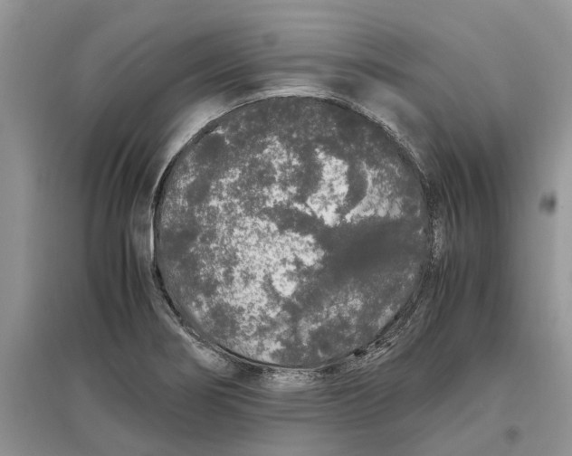 X0000097301274200803071745