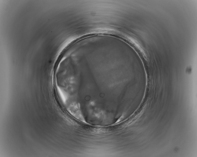 X0000097301275200803071745