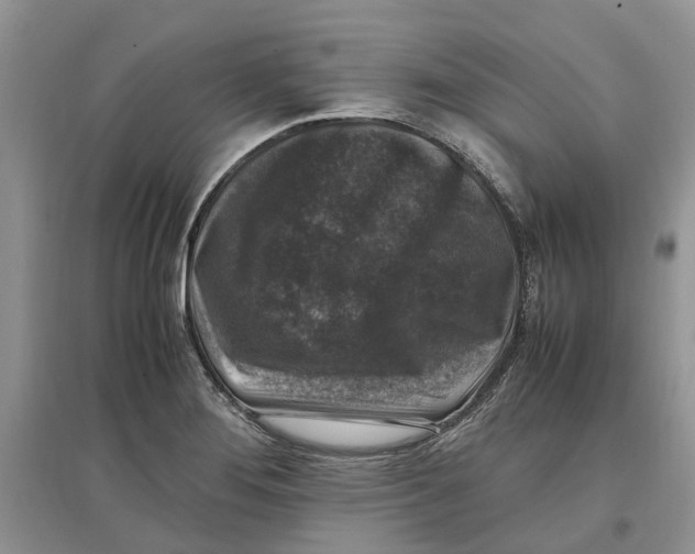 X0000097301276200803071745