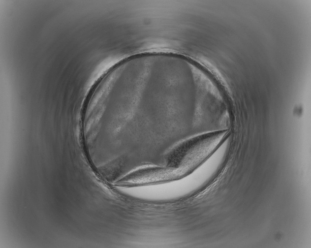 X0000097301277200803071745