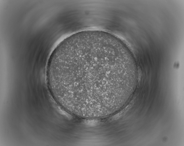 X0000097301278200803071745