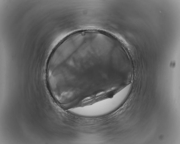 X0000097301279200803071745