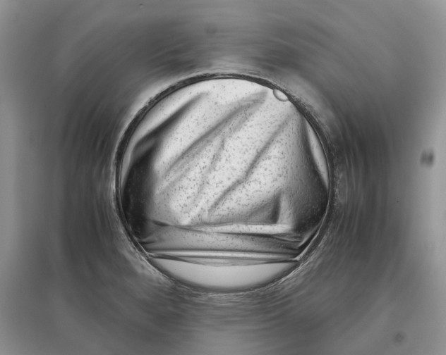 X0000097301280200803071745