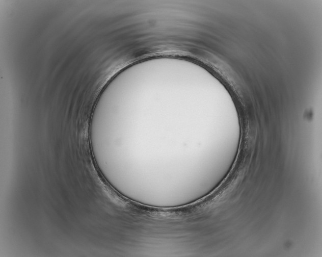 X0000097301281200803071745