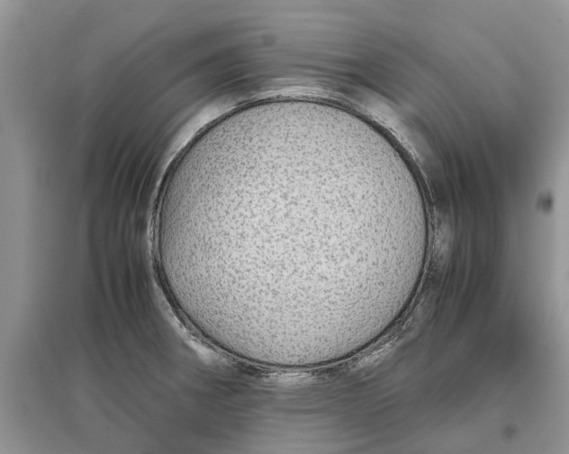 X0000097301282200803071745