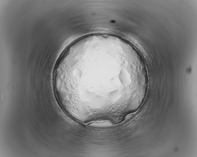 X0000097301283200803071745