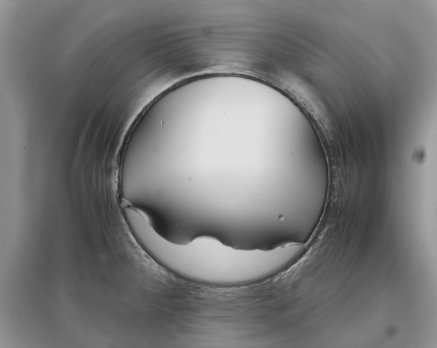 X0000097301284200803071745