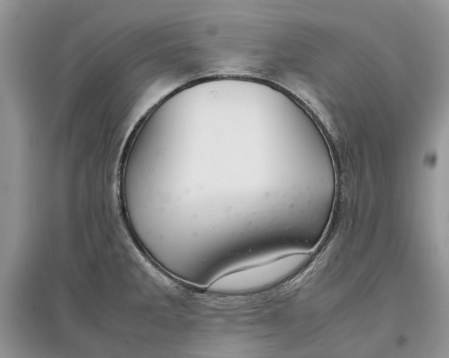 X0000097301285200803071745