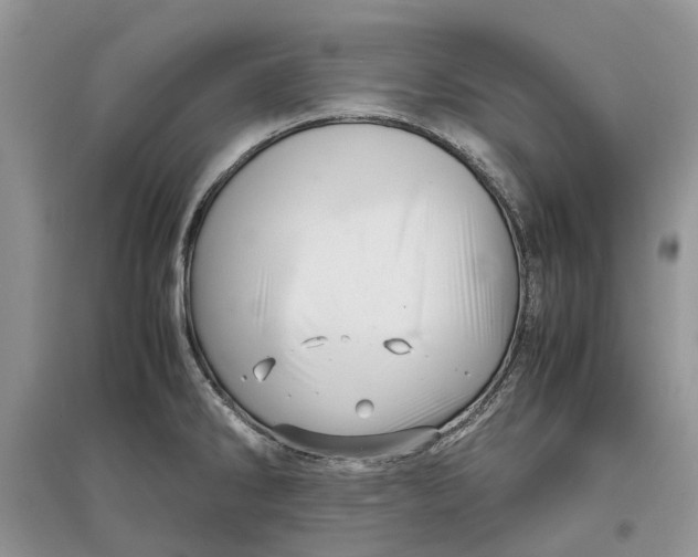 X0000097301286200803071745