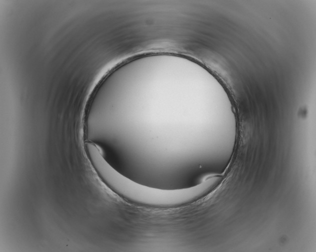 X0000097301288200803071745