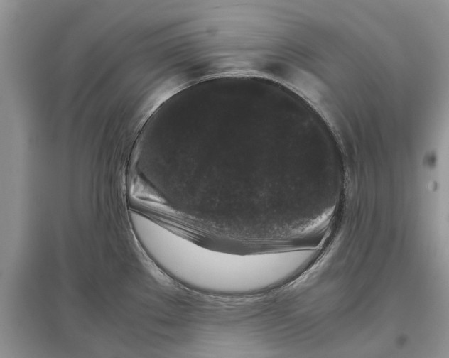 X0000097301289200803071745