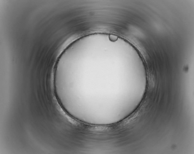 X0000097301290200803071745