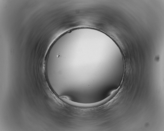 X0000097301292200803071745