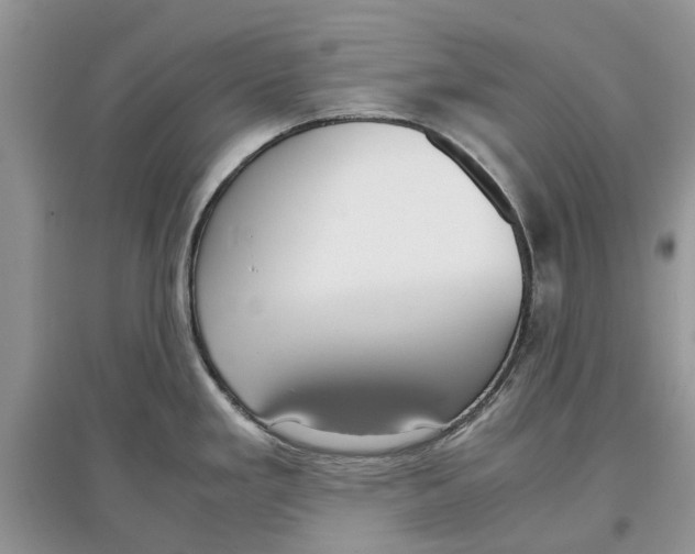 X0000097301293200803071745