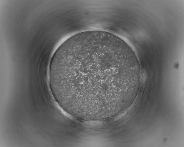 X0000097301294200803071745