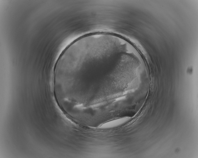 X0000097301295200803071745