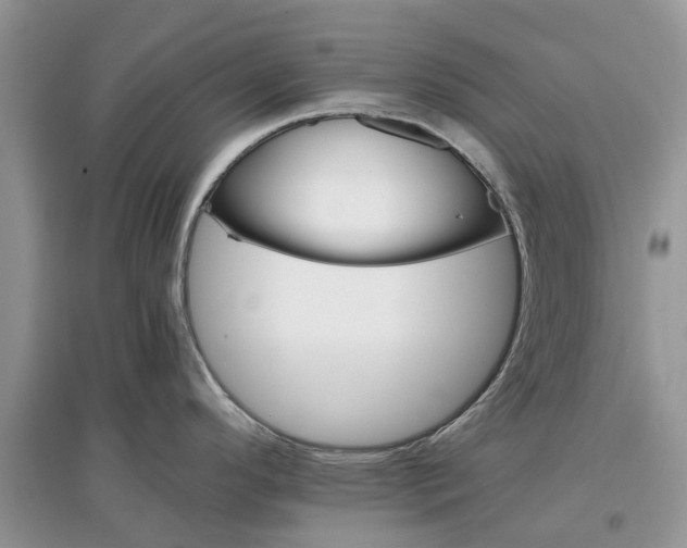 X0000097301296200803071745