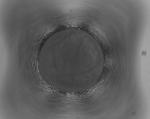 X0000097301297200803071744