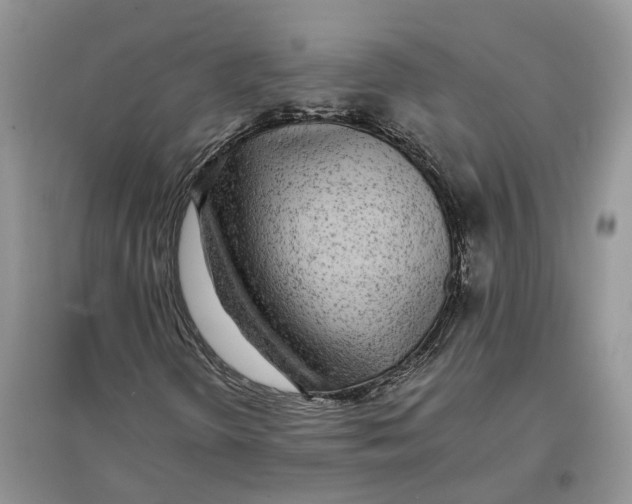 X0000097301298200803071744