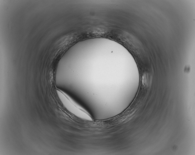 X0000097301299200803071744