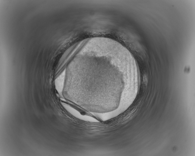 X0000097301300200803071744