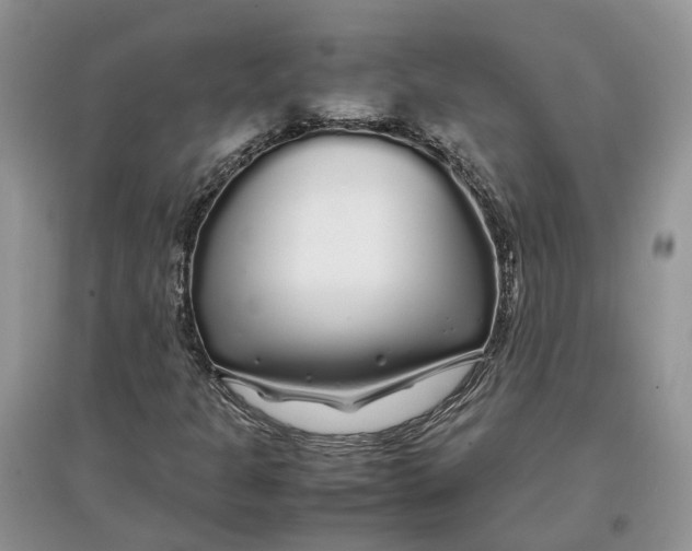 X0000097301301200803071744