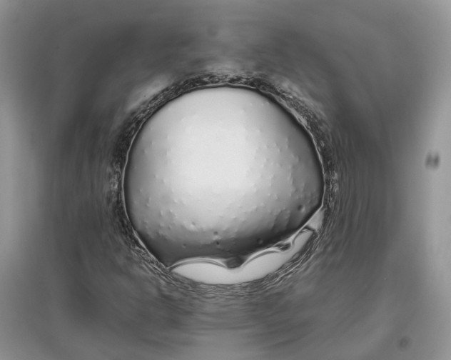 X0000097301302200803071744