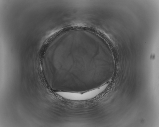 X0000097301303200803071744