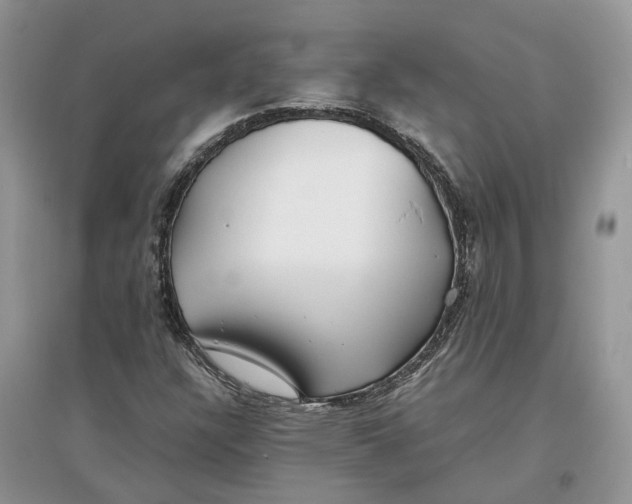 X0000097301304200803071744