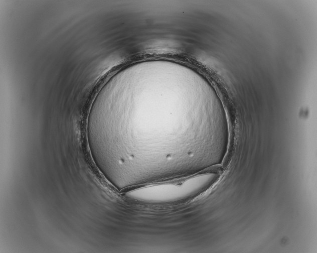 X0000097301305200803071744