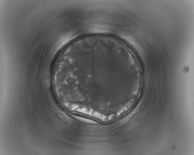 X0000097301306200803071744