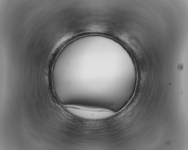 X0000097301307200803071744