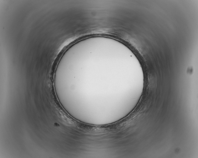 X0000097301308200803071744