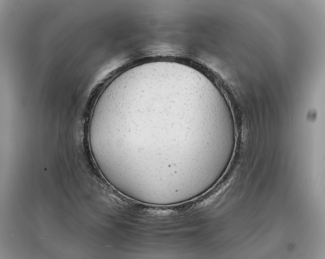 X0000097301309200803071744