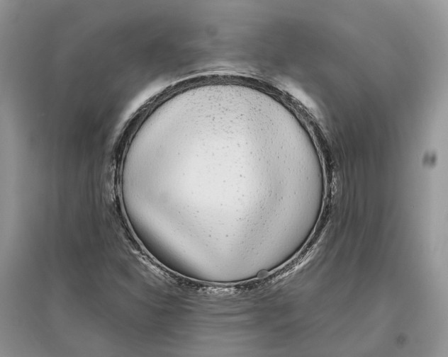 X0000097301310200803071744